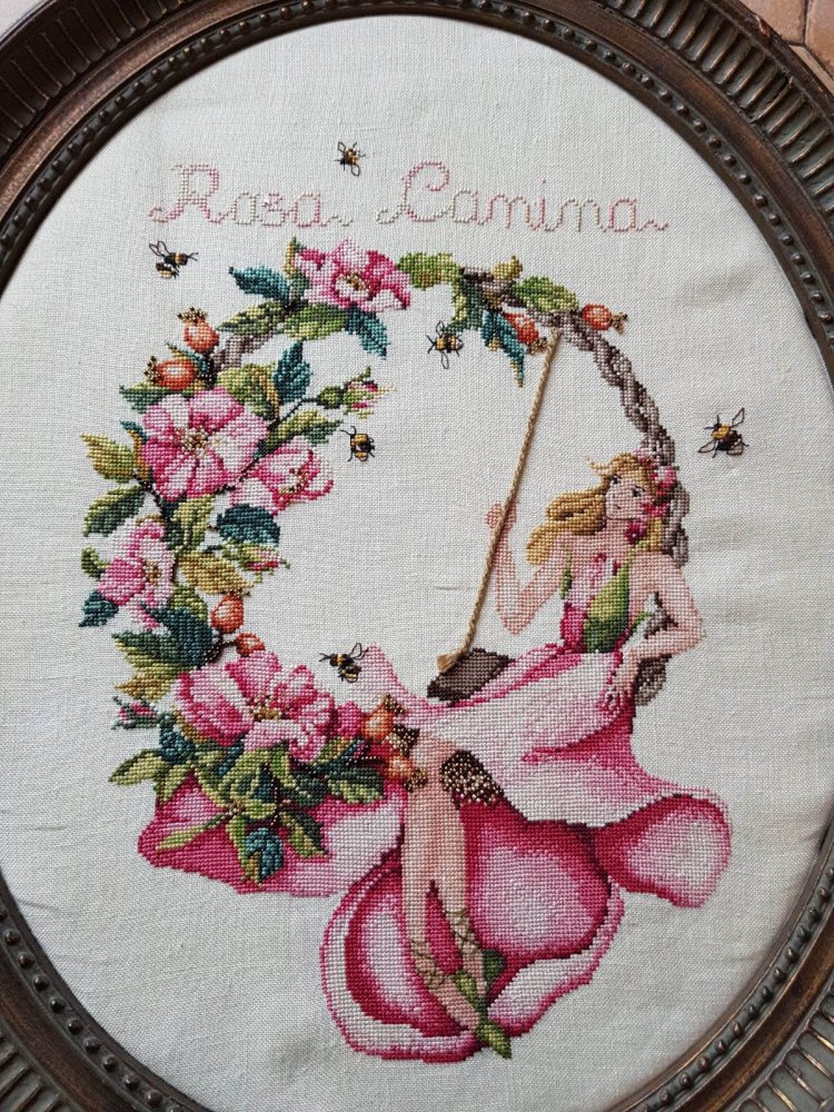 (image for) Rosa Canina